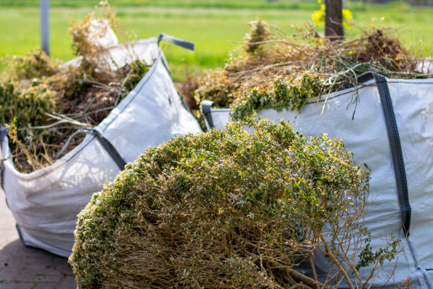 Best Full-Service Junk Removal  in Roanoke, TX